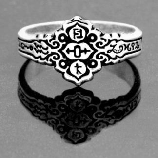 HEALER'S RING II: RING OF THE SAGE IN STERLING SILVER