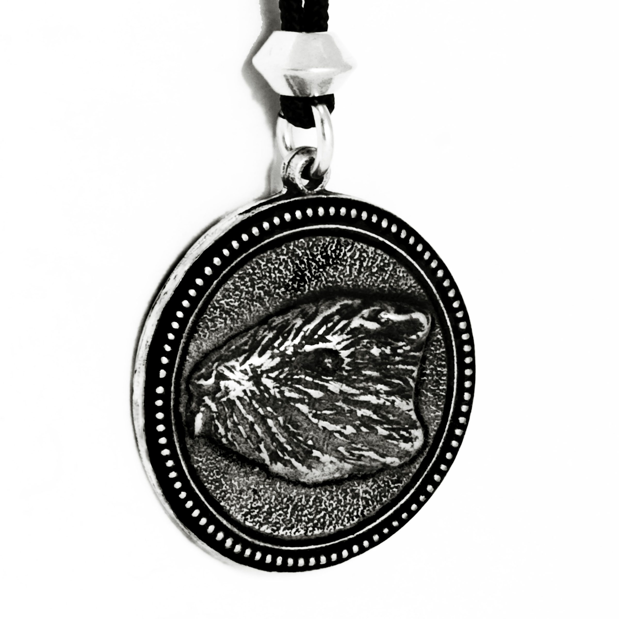 GROUNDHOG - Image 2
