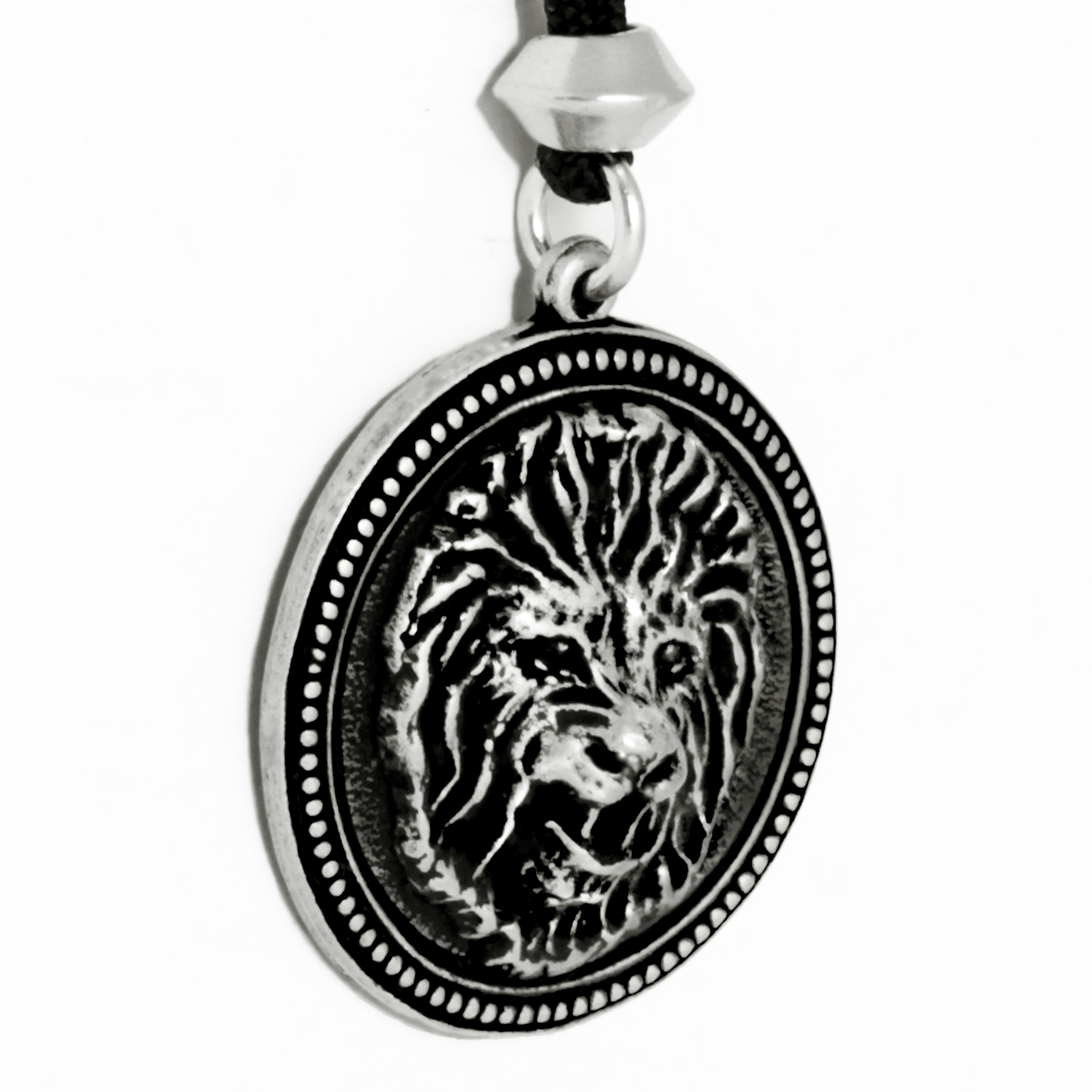 LION - Image 2