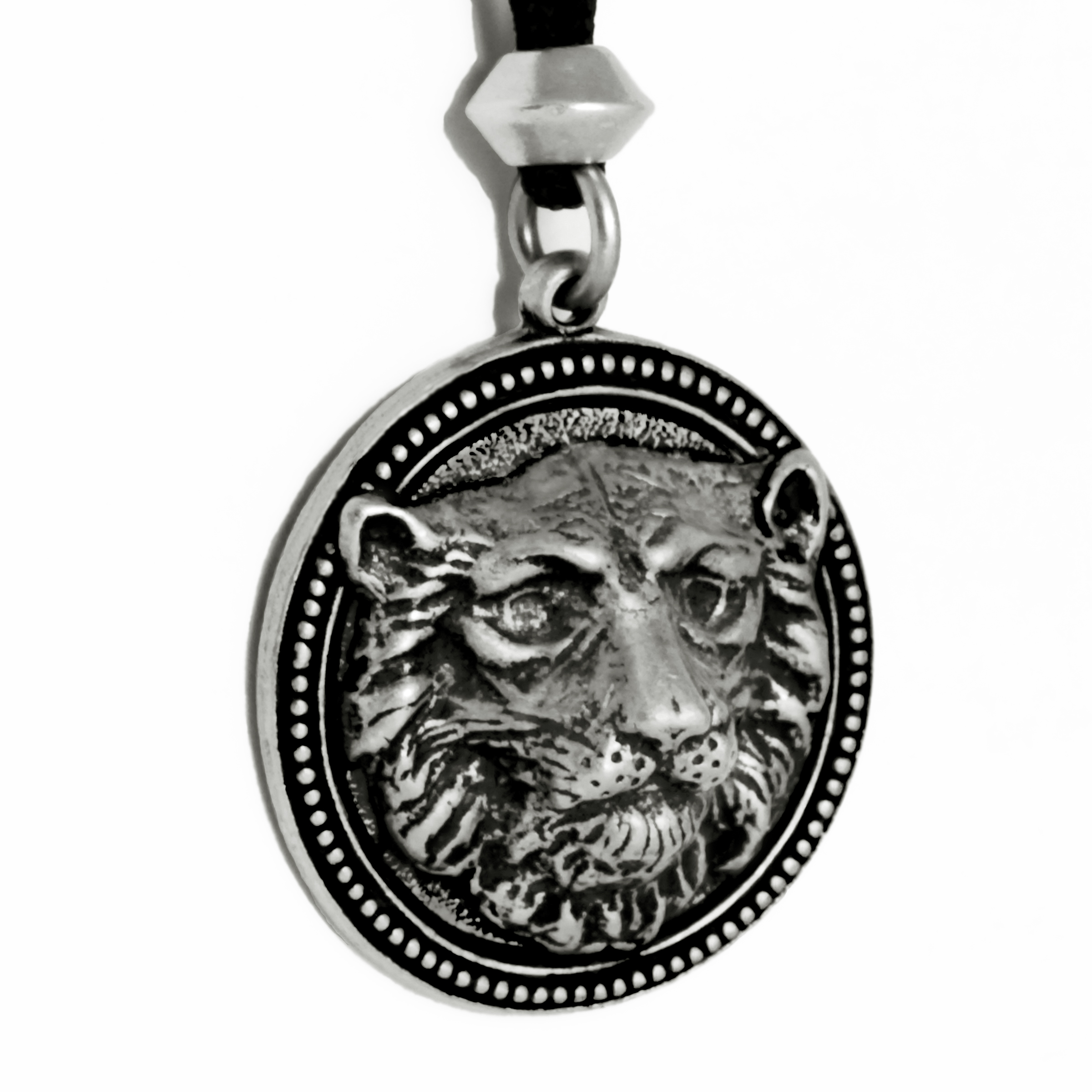 TIGER-CLOSED MOUTH - Image 2